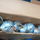 These poor turtles were among the 1,529 found in an international airport in Manila, Philippines.